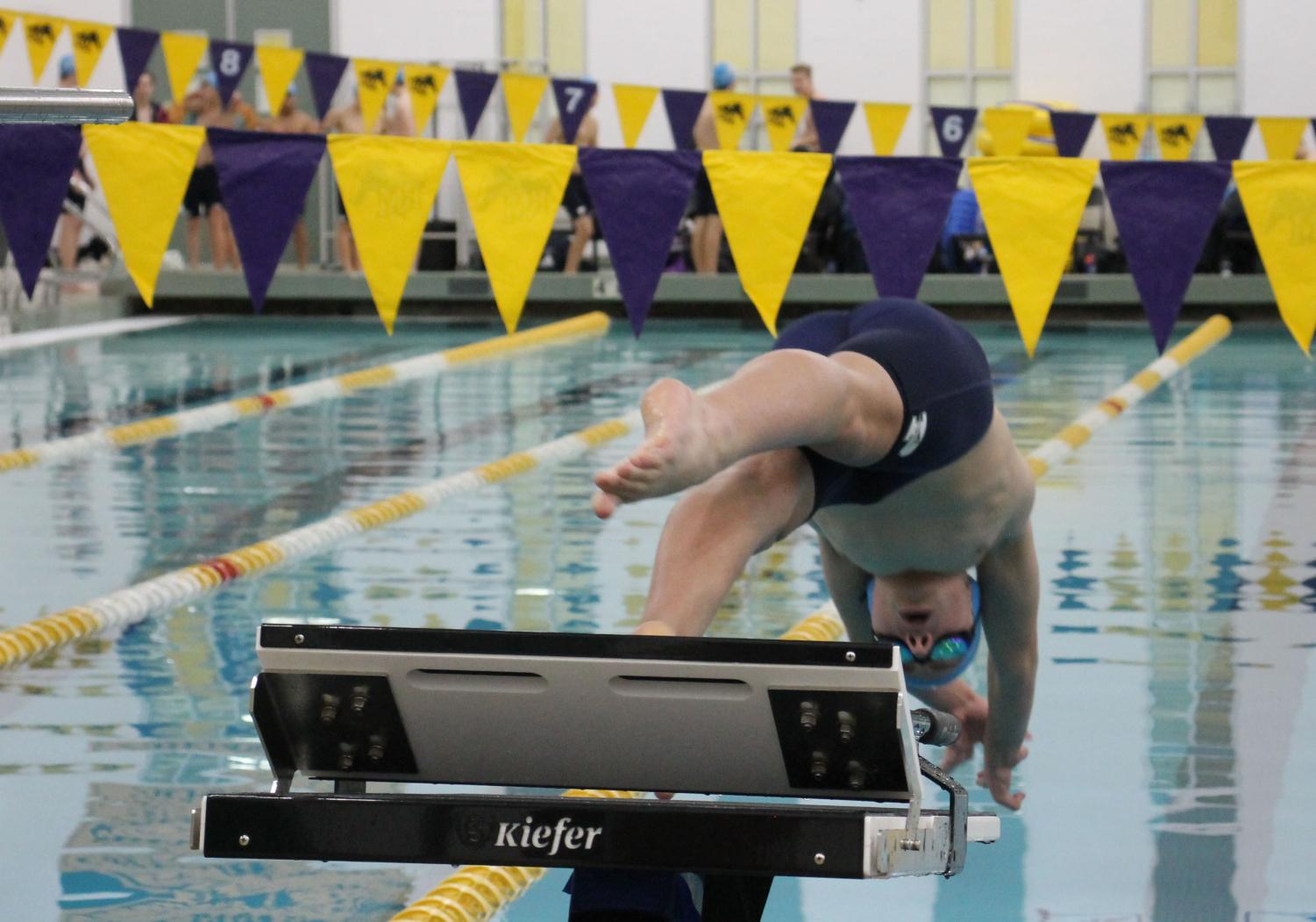 Photo album: Boys' swim and dive
