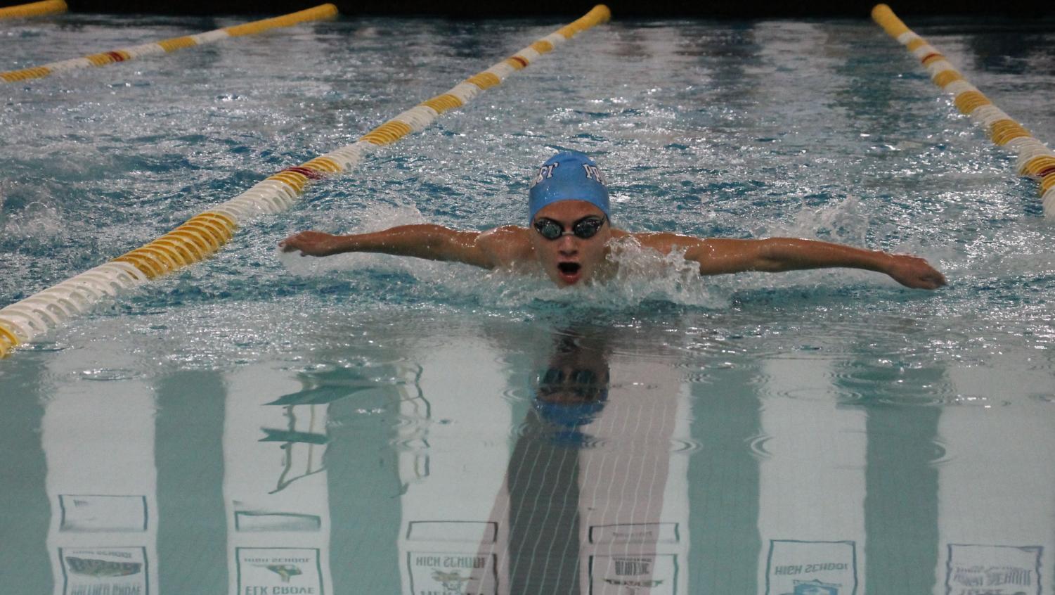 Photo album: Boys' swim and dive