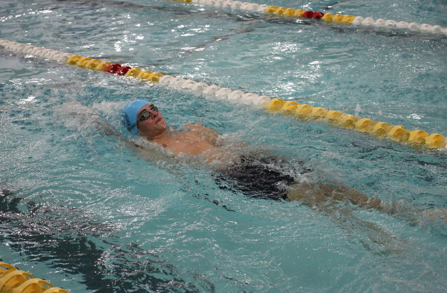 Photo album: Boys' swim and dive