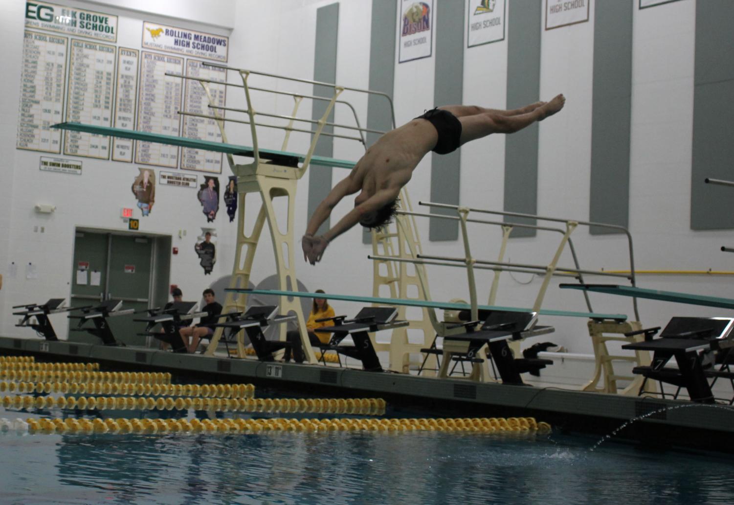 Photo album: Boys' swim and dive