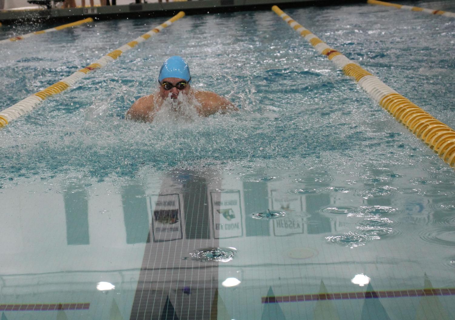 Photo album: Boys' swim and dive