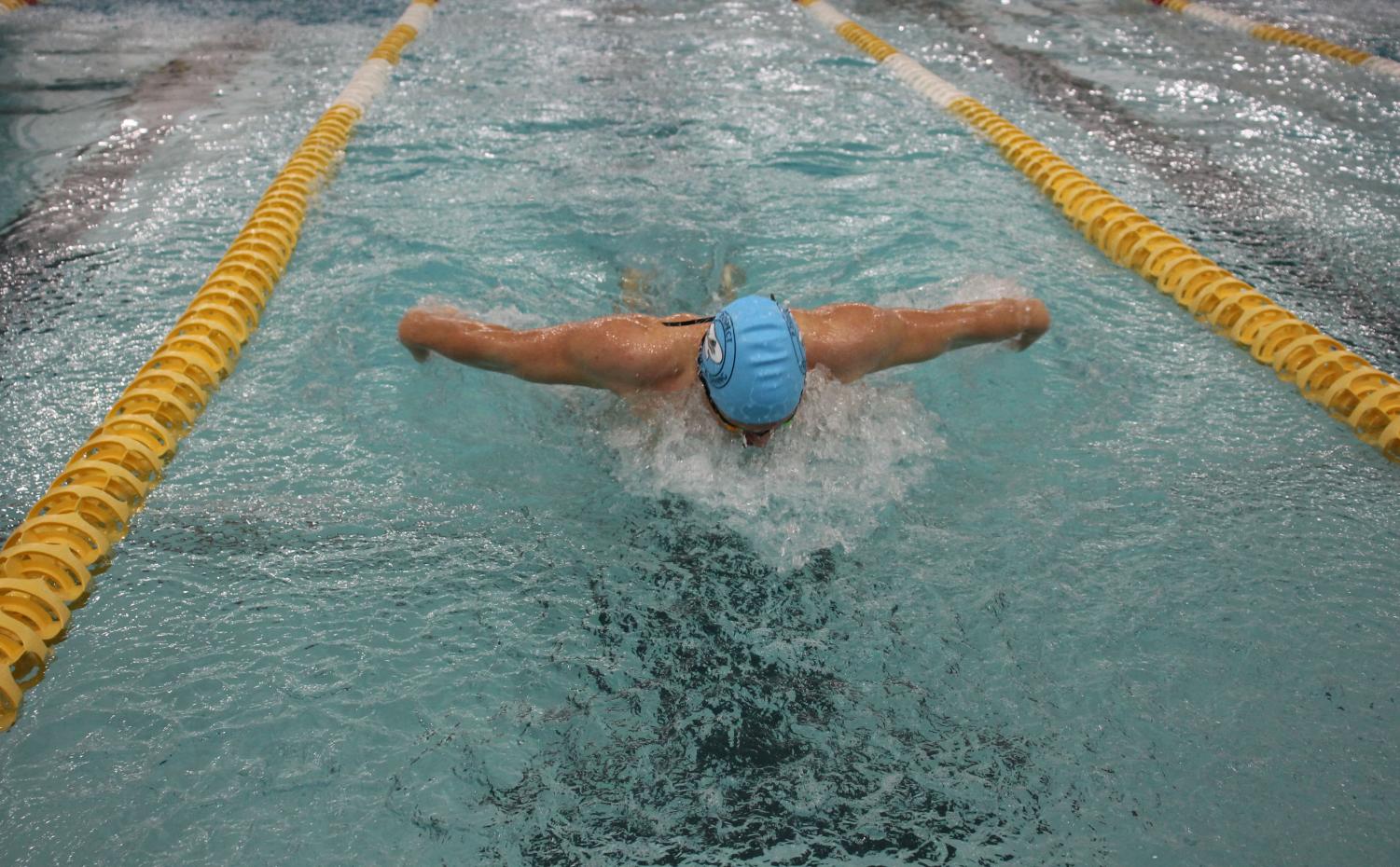 Photo album: Boys' swim and dive