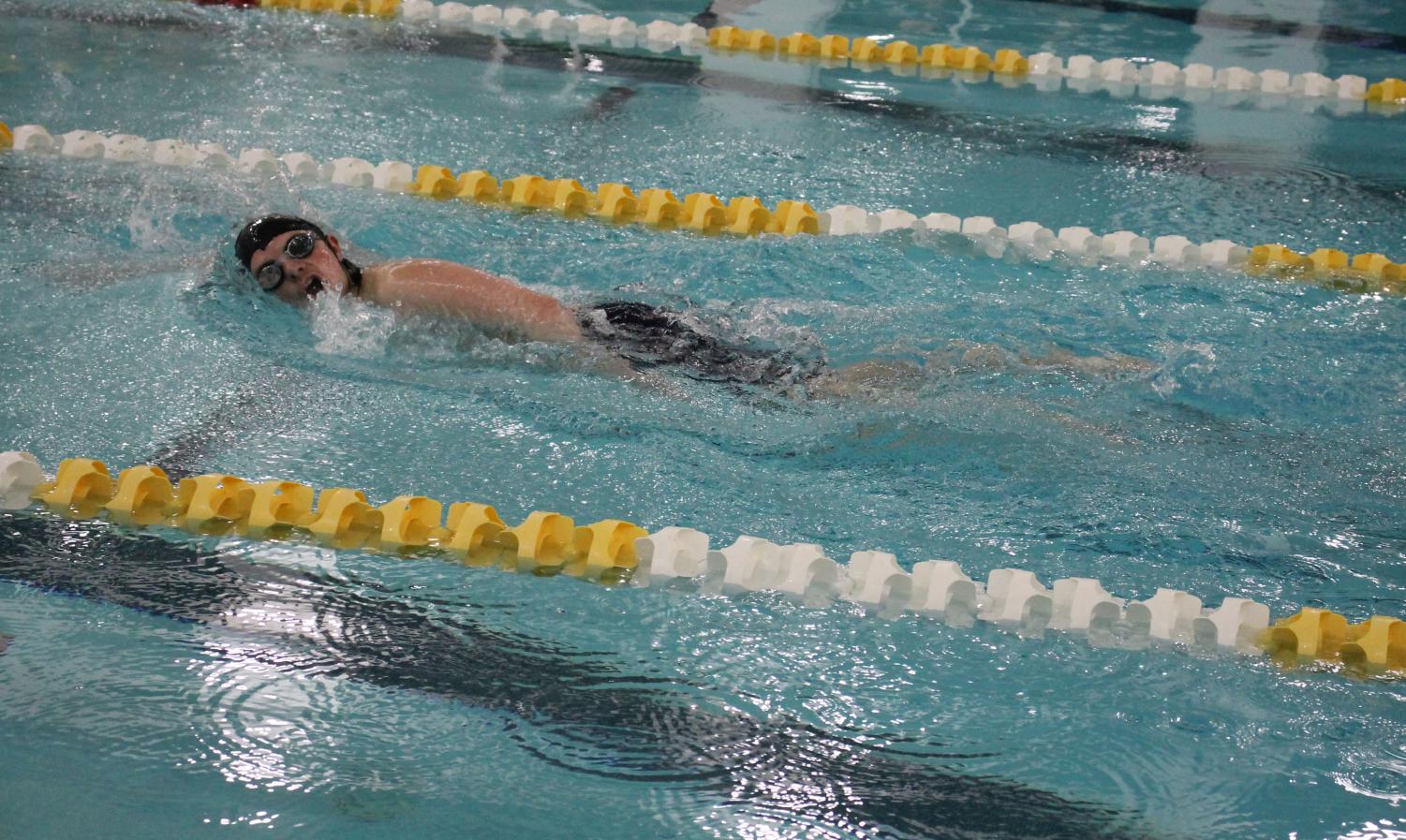Photo album: Boys' swim and dive