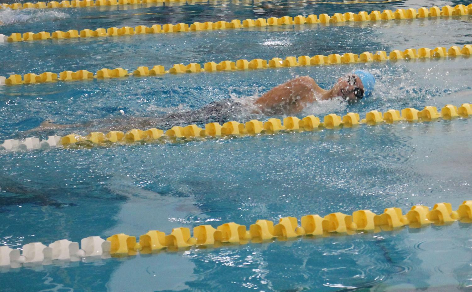 Photo album: Boys' swim and dive