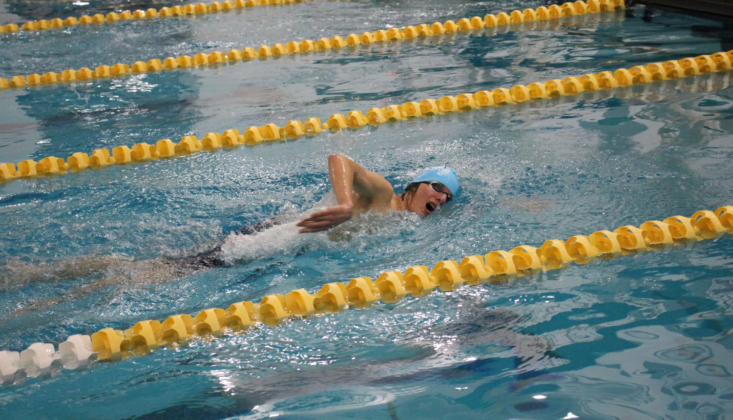 Photo album: Boys' swim and dive