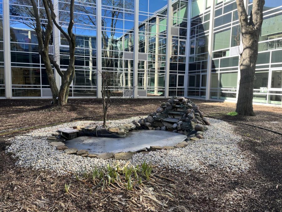 The Prospect courtyard looks fairly bare in the winter. (Photo by Alyssa Degan)