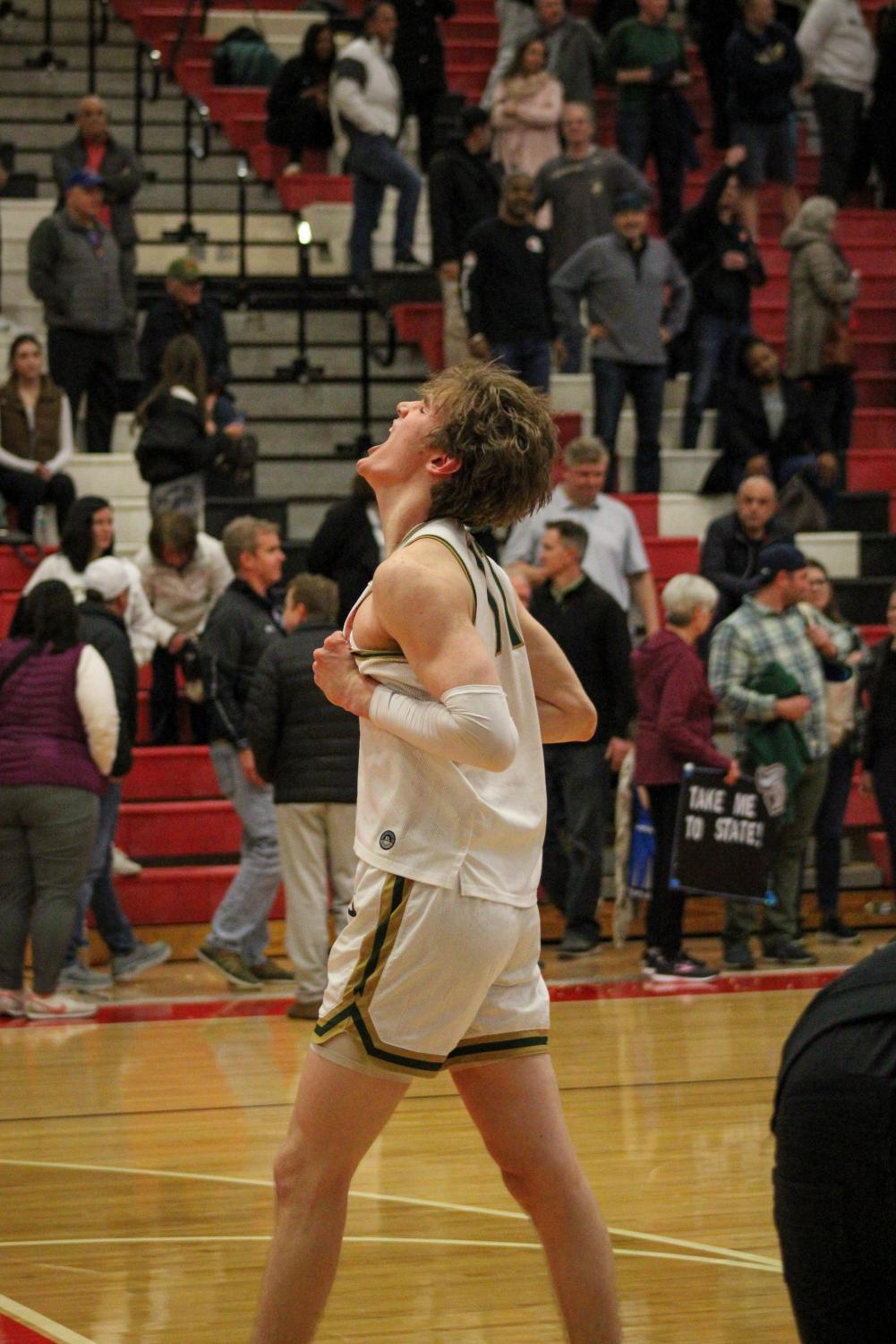 Schneider drills buzzer beater to top Stevenson in sectional semis