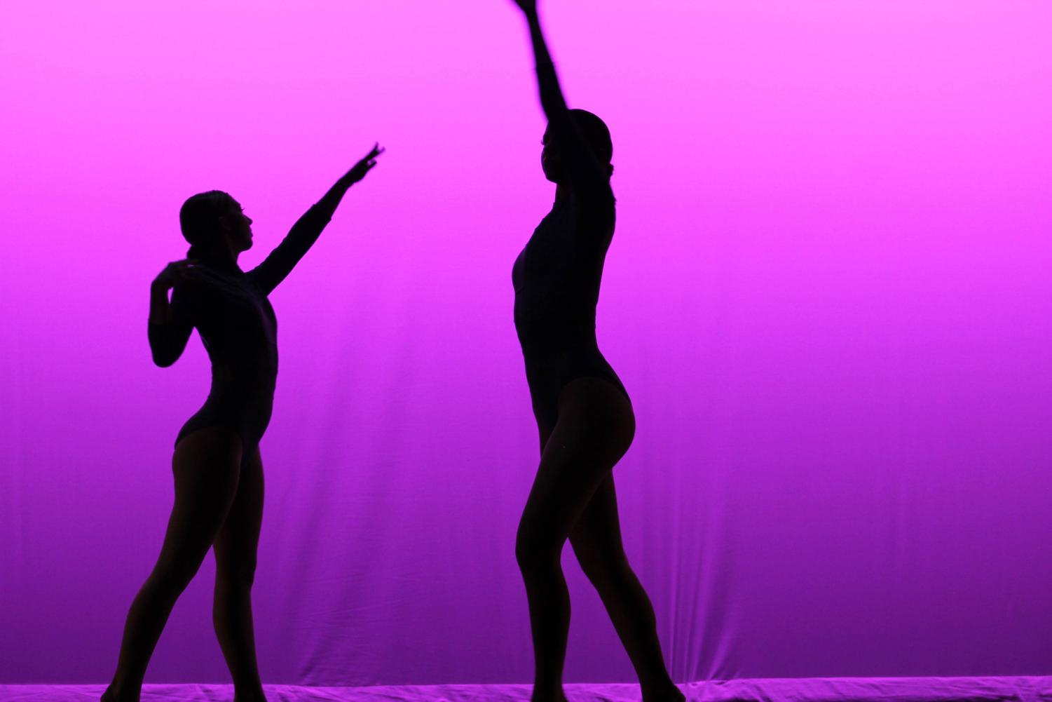 Orchesis showcases talent during 'Rise'