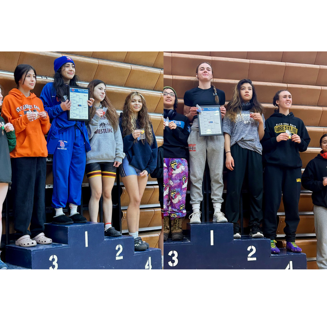 On February 3, 2024 junior Viola Pianetto and junior Elanie Taboada placed 2nd (Pianetto) and 4th (Taboada) at IHSA Girls Wrestling Regionals, qualifying them both for the upcoming sectional.
