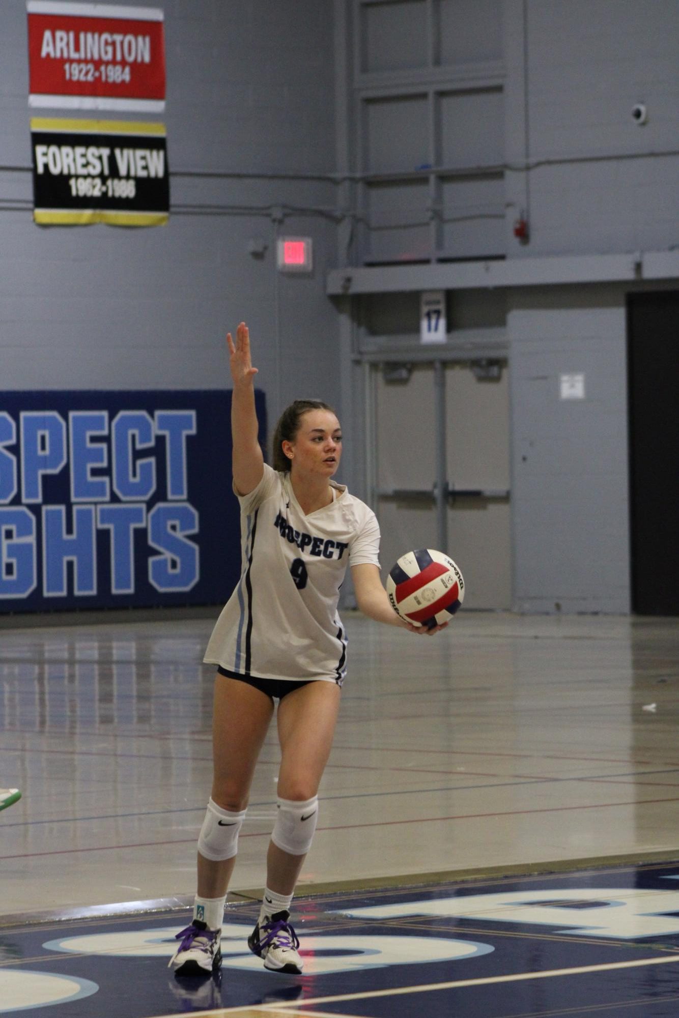 Girl's volleyball vs Hoffman Estates