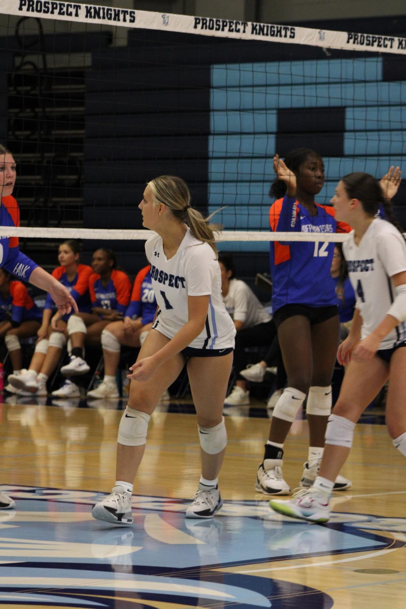 Girl's volleyball vs Hoffman Estates