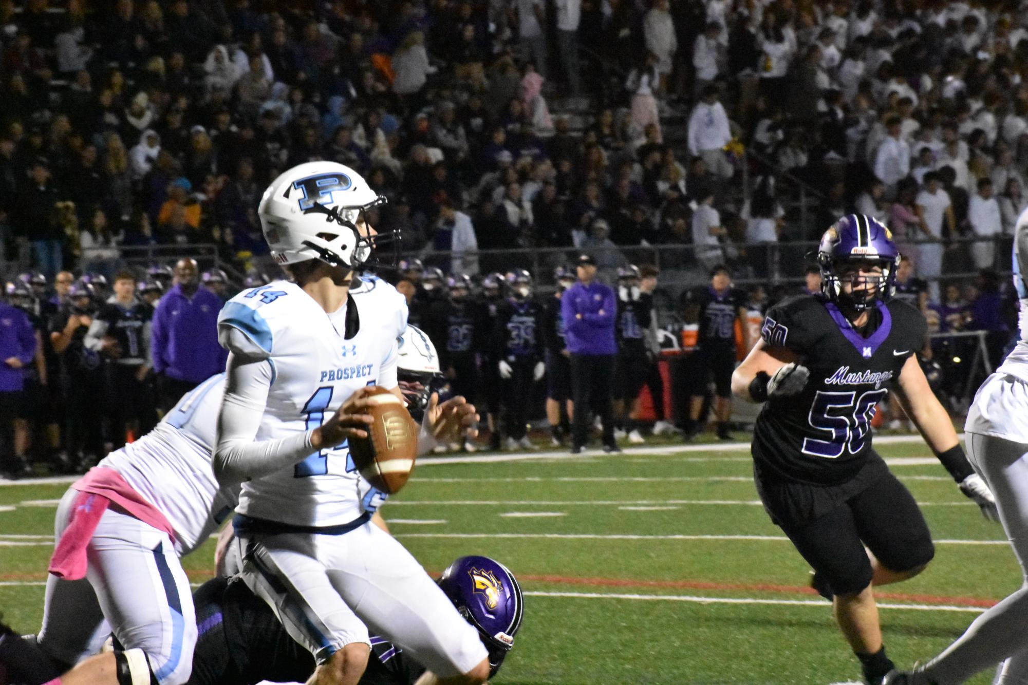 Prospect defeats Rolling Meadows