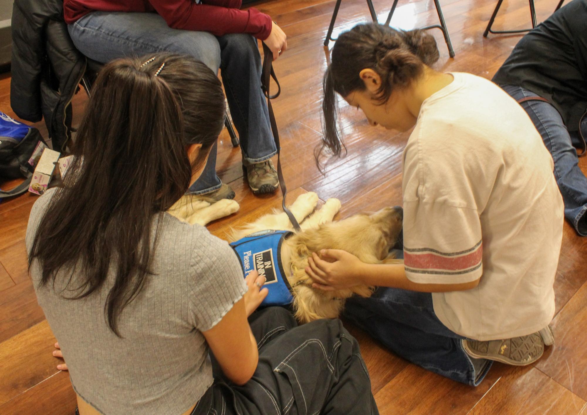 Comfort Dogs help students with stress