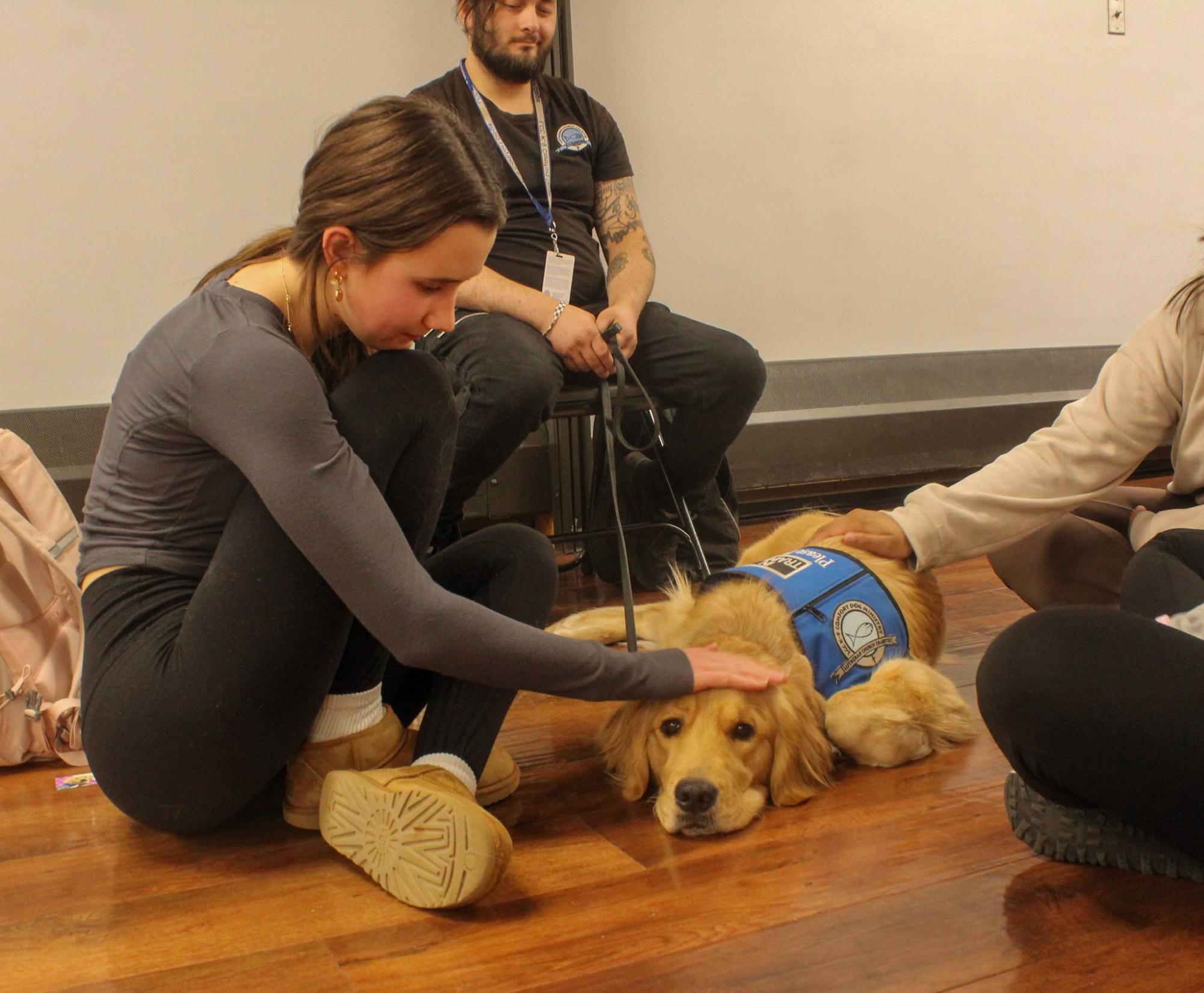 Comfort Dogs help students with stress
