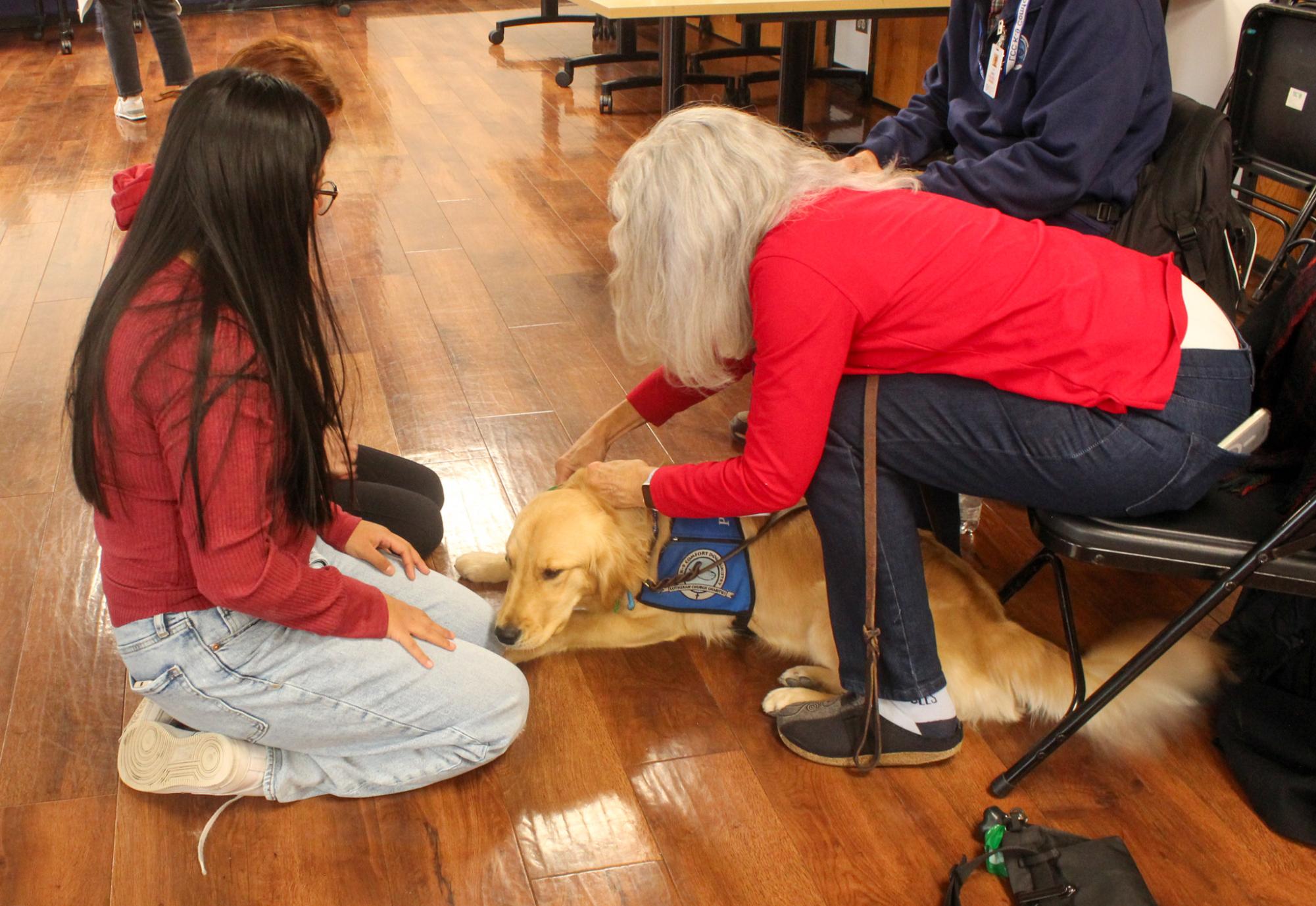 Comfort Dogs help students with stress