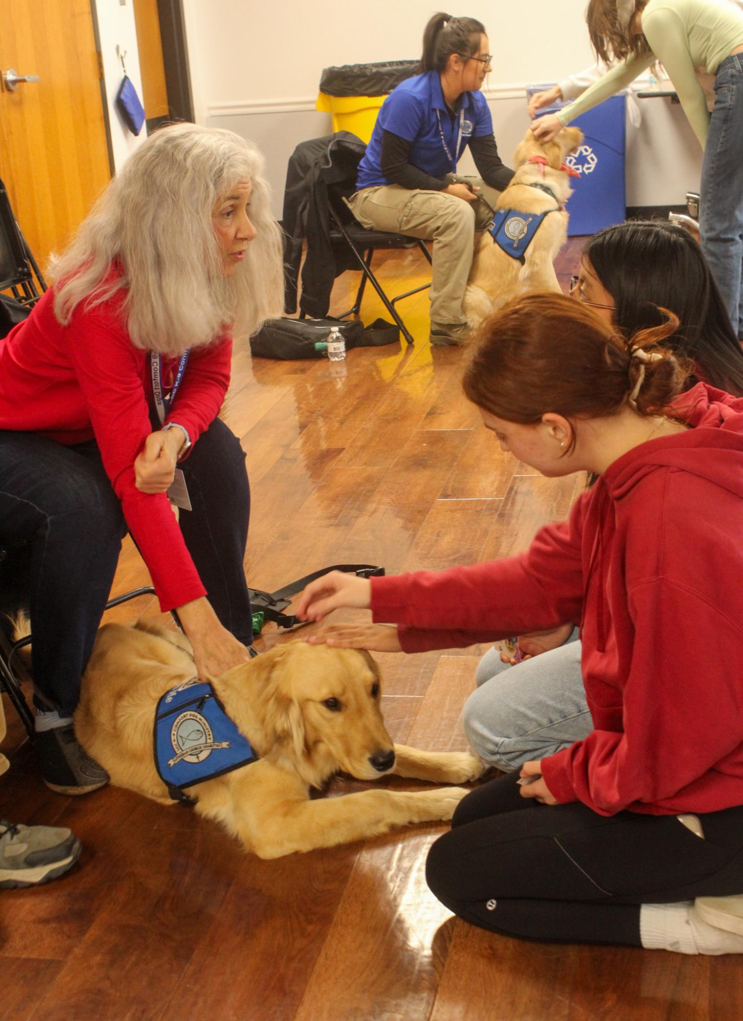 Comfort Dogs help students with stress