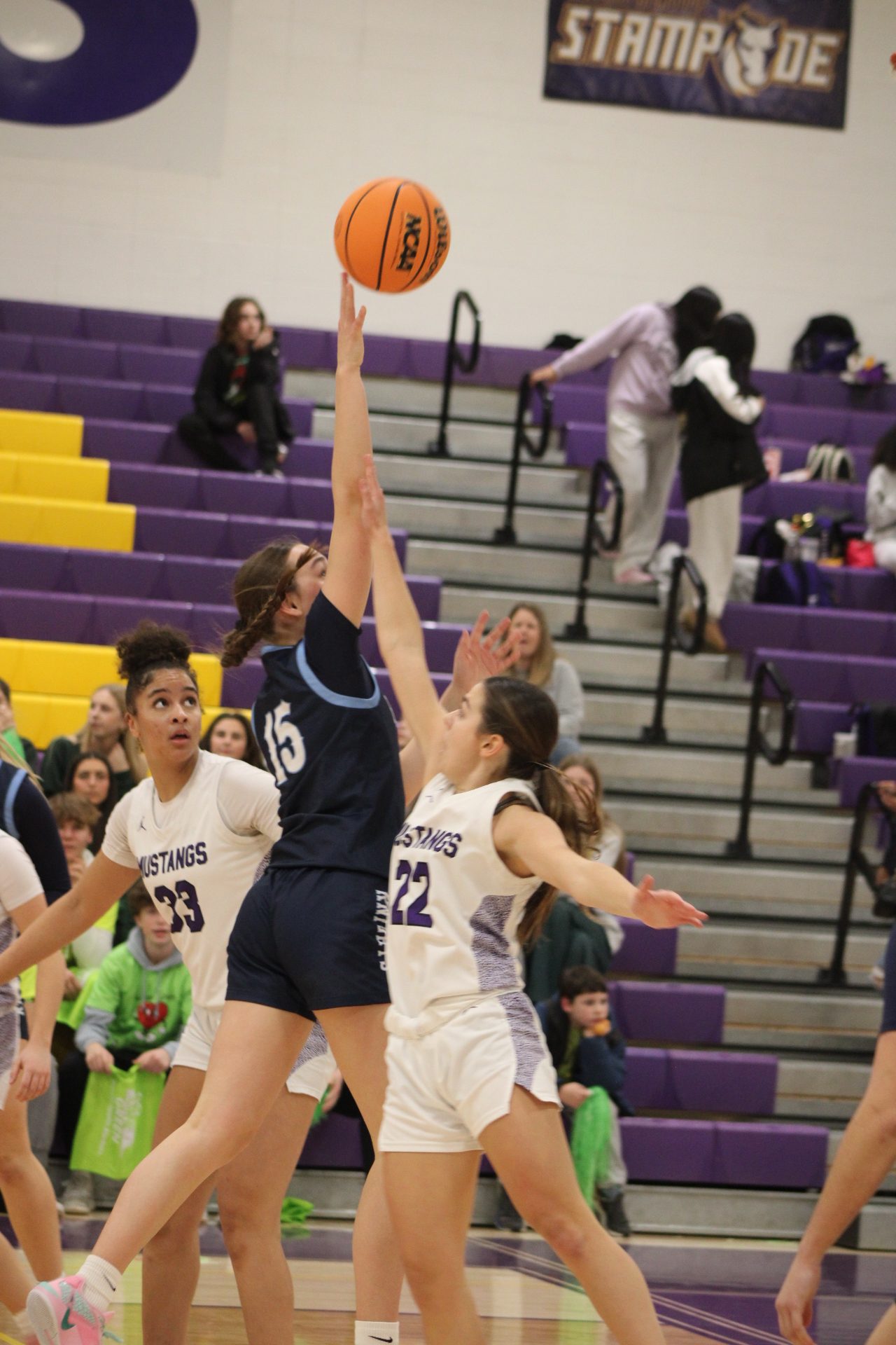 Rolling Meadows basketball double header