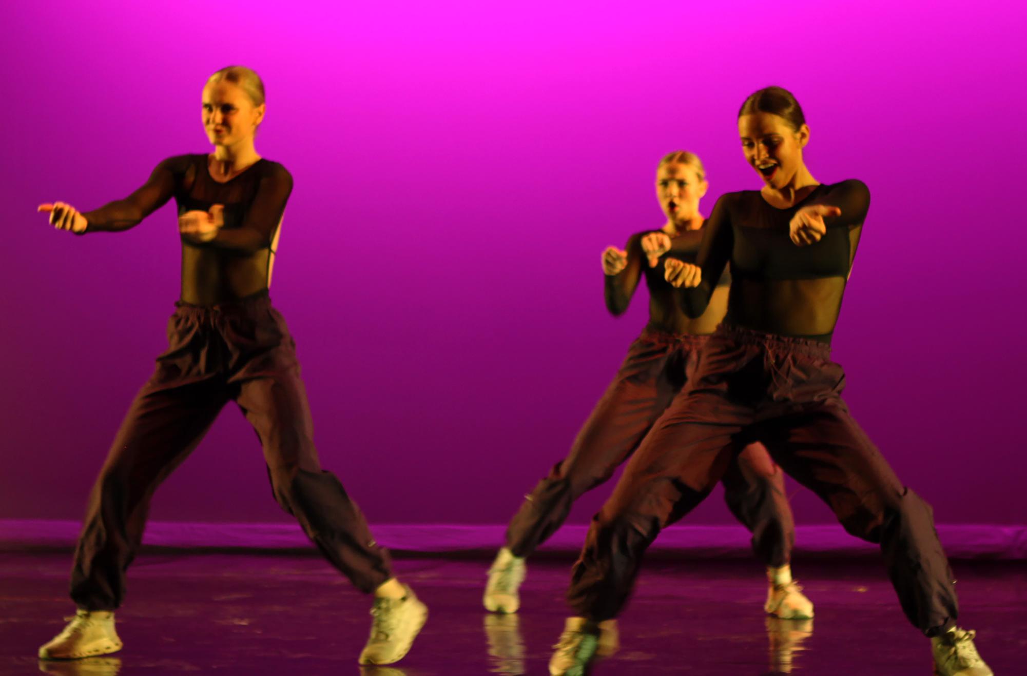 Orchesis presents "Ignite"