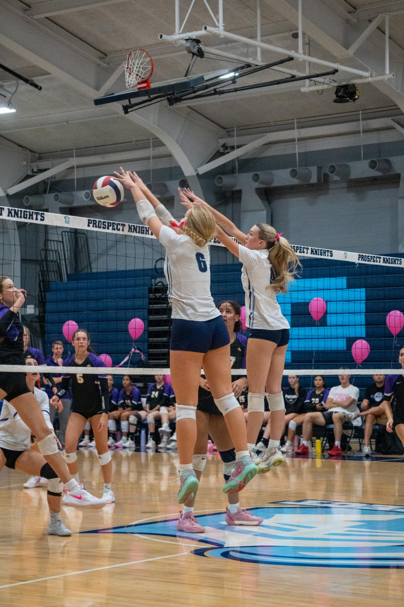 Photos: Volley for a cure