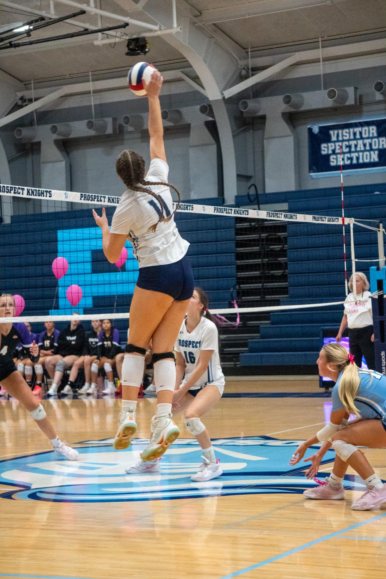 Photos: Volley for a cure