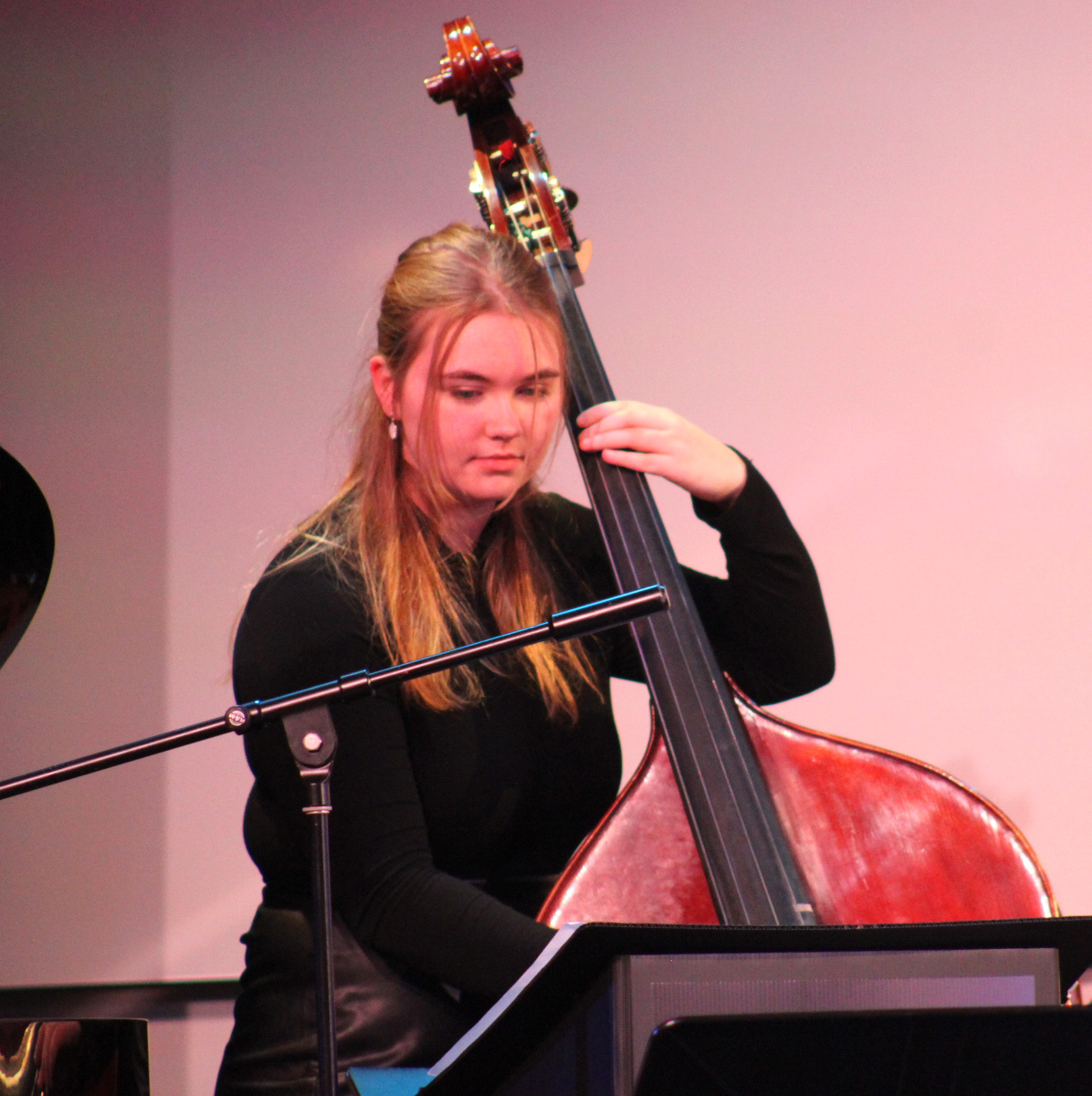 Winter Jazz Concert Photo Album