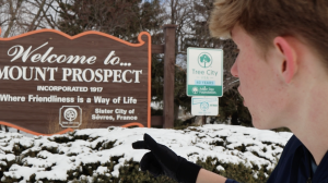 What are these cameras in Mount Prospect?
