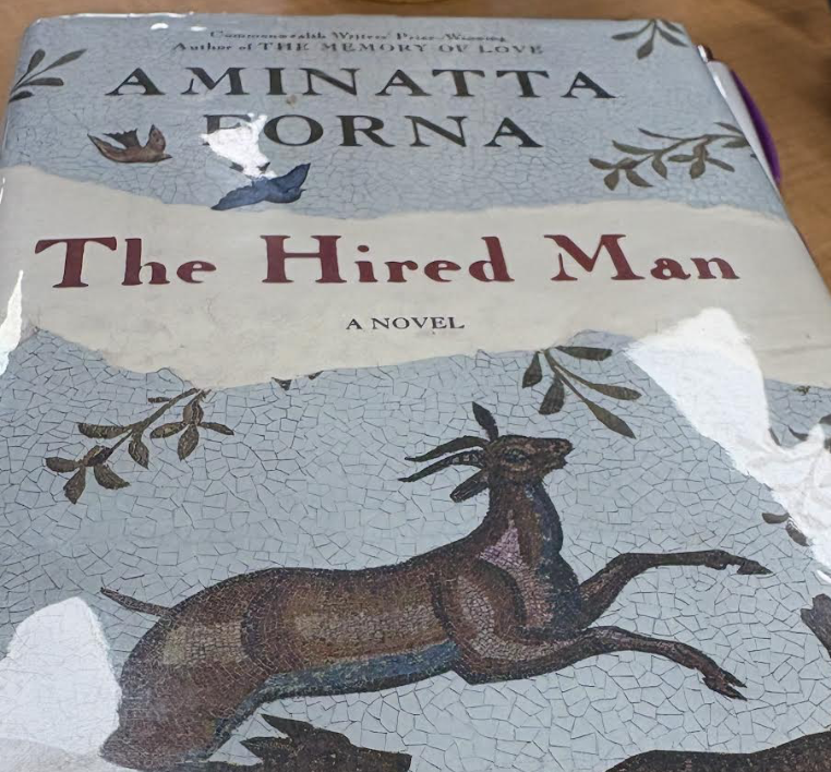 Recreational Reading: The Abandoned Media