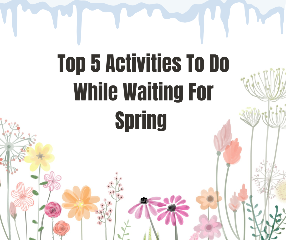 Top 5 Activities To Do While Waiting For Spring