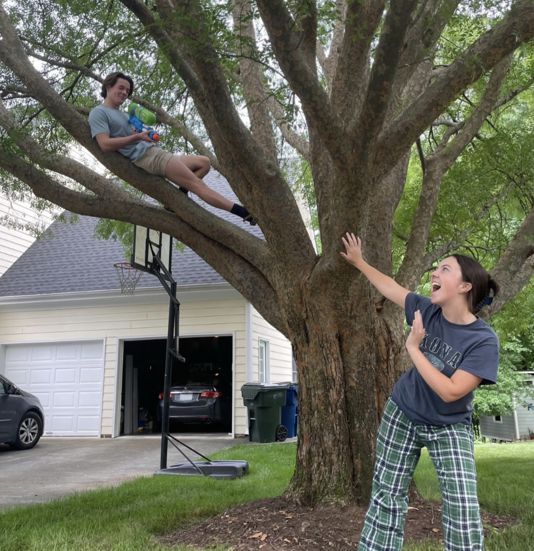 Senior assassin causes stress